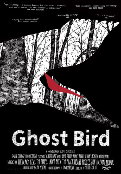Ghost Bird