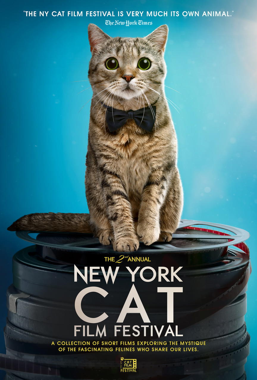 NY CAT FILM FESTIVAL