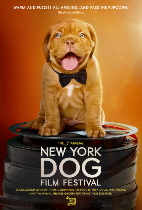 NY DOG FILM FESTIVAL