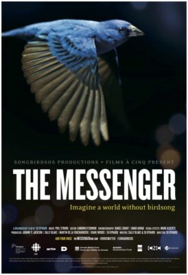 The Messenger