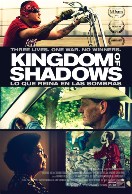 Kingdown of Shadows